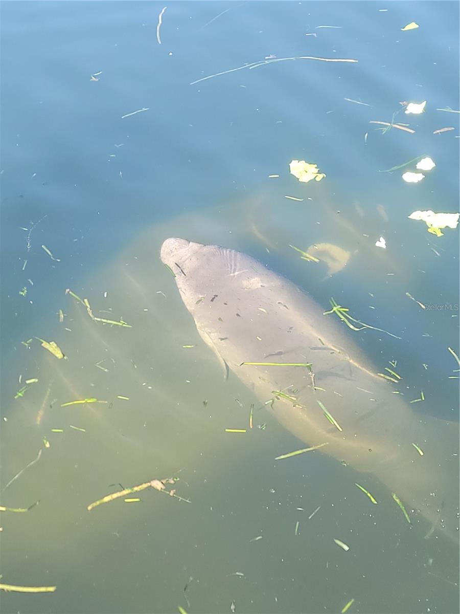 773 NE 9TH ST #K, CRYSTAL RIVER, FL, 34428