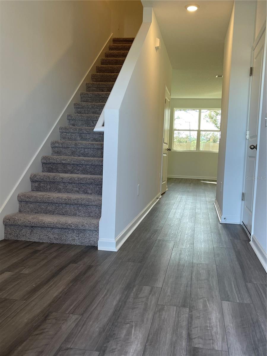 6157 DAERR RDG #6157, ZEPHYRHILLS, FL, 33542