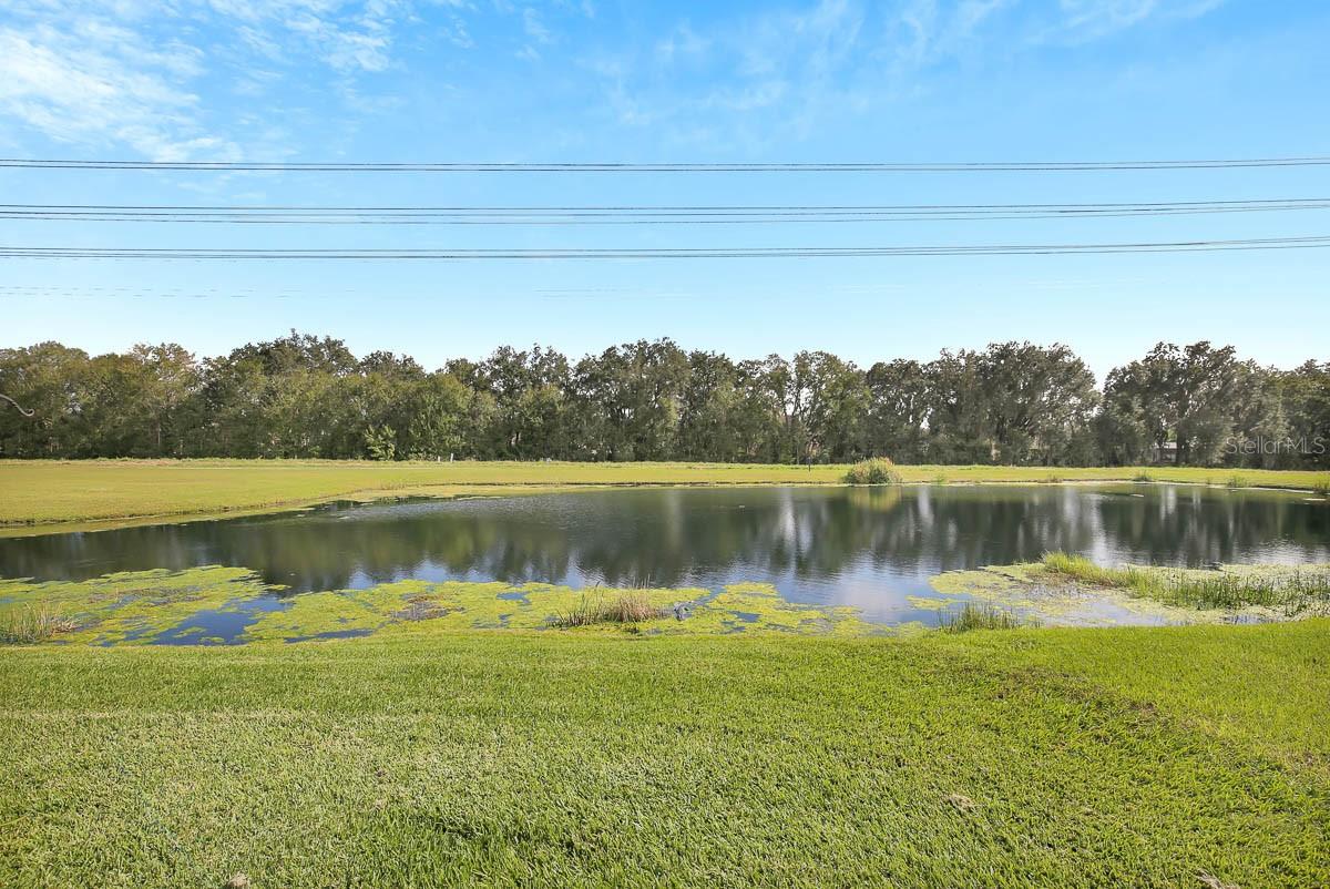 6415 BRIDGECREST DR, LITHIA, FL, 33547