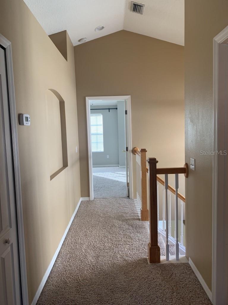 10804 SPRING MOUNTAIN PL, TAMPA, FL, 33626