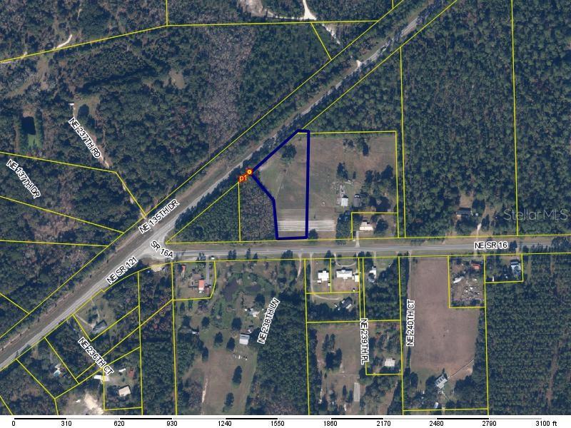 NE STATE ROAD 16, RAIFORD, FL, 32083