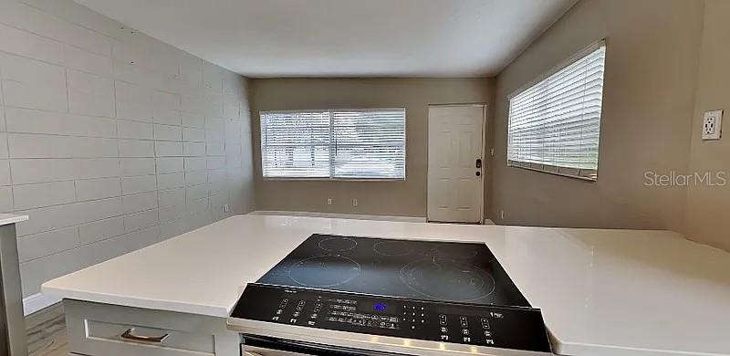 313 S LAWSONA BLVD, ORLANDO, FL, 32801