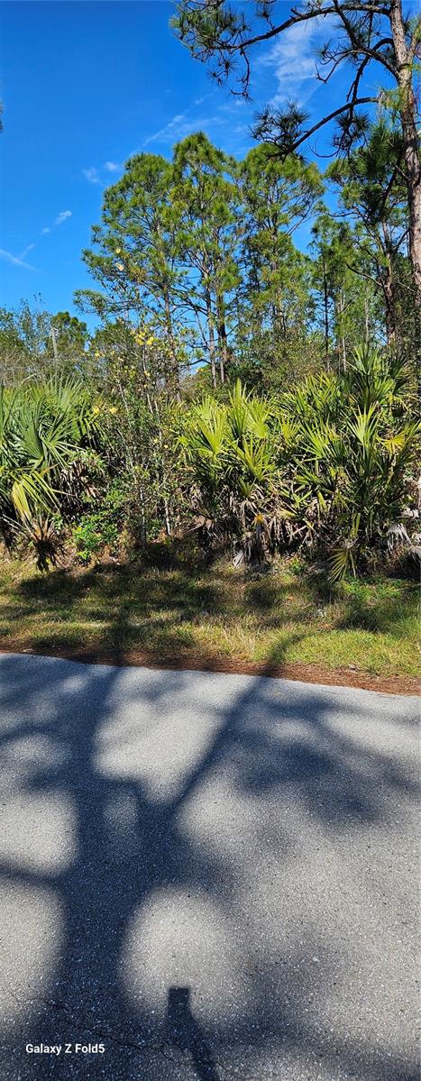 27396 CORINTHIAN, DR, PUNTA GORDA, FL, 33955