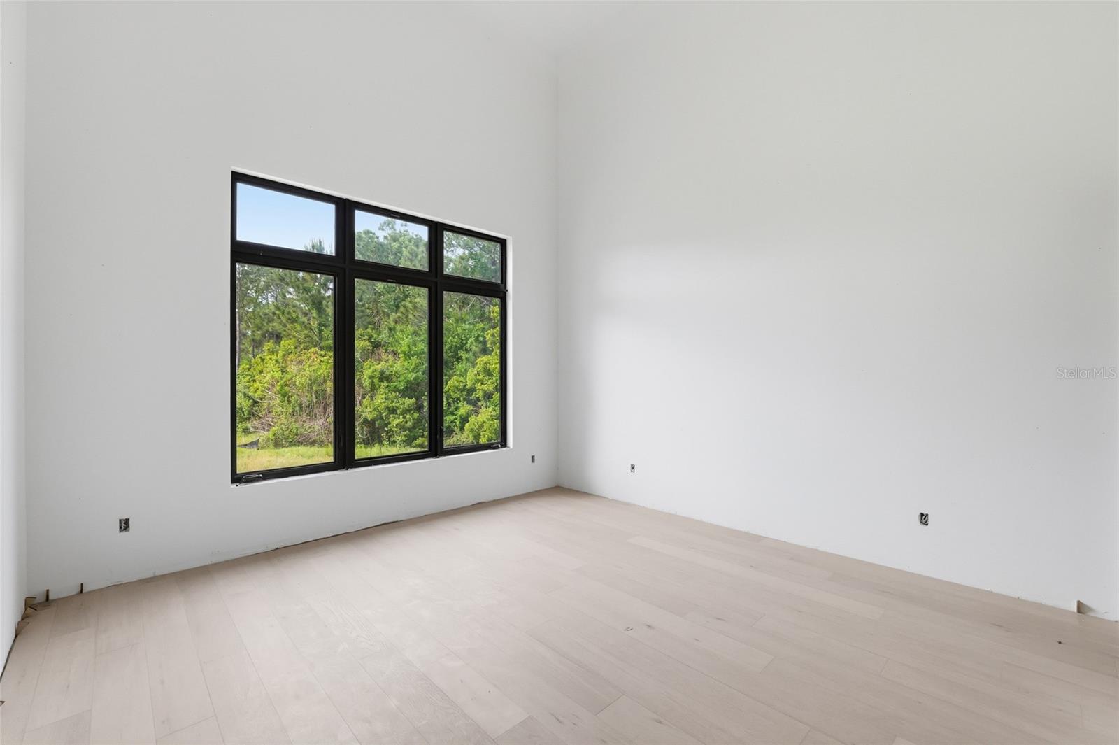 12505 STONELAKE RANCH BLVD, THONOTOSASSA, FL, 33592