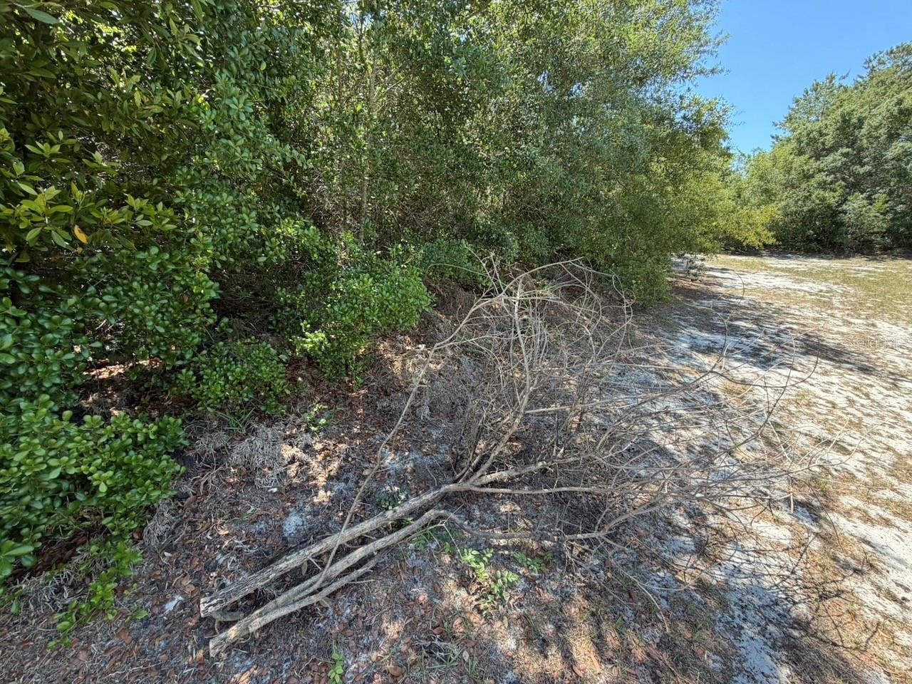 lOTS 37 & 38 KATMAI DR, ORANGE CITY, FL, 32763