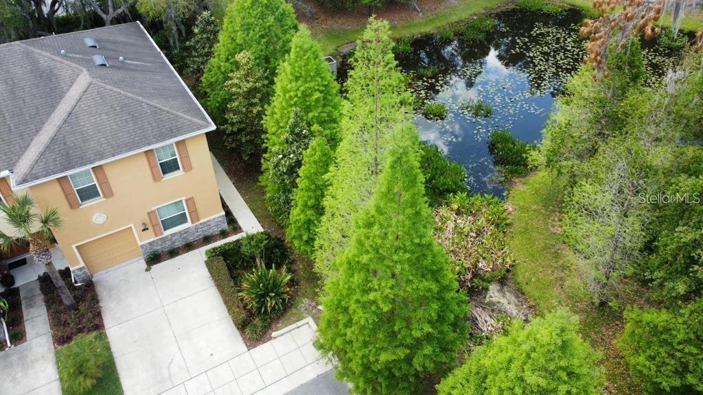 8301 PINE RIVER RD, TAMPA, FL, 33637