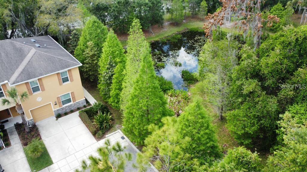 8301 PINE RIVER RD, TAMPA, FL, 33637