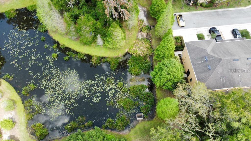 8301 PINE RIVER RD, TAMPA, FL, 33637