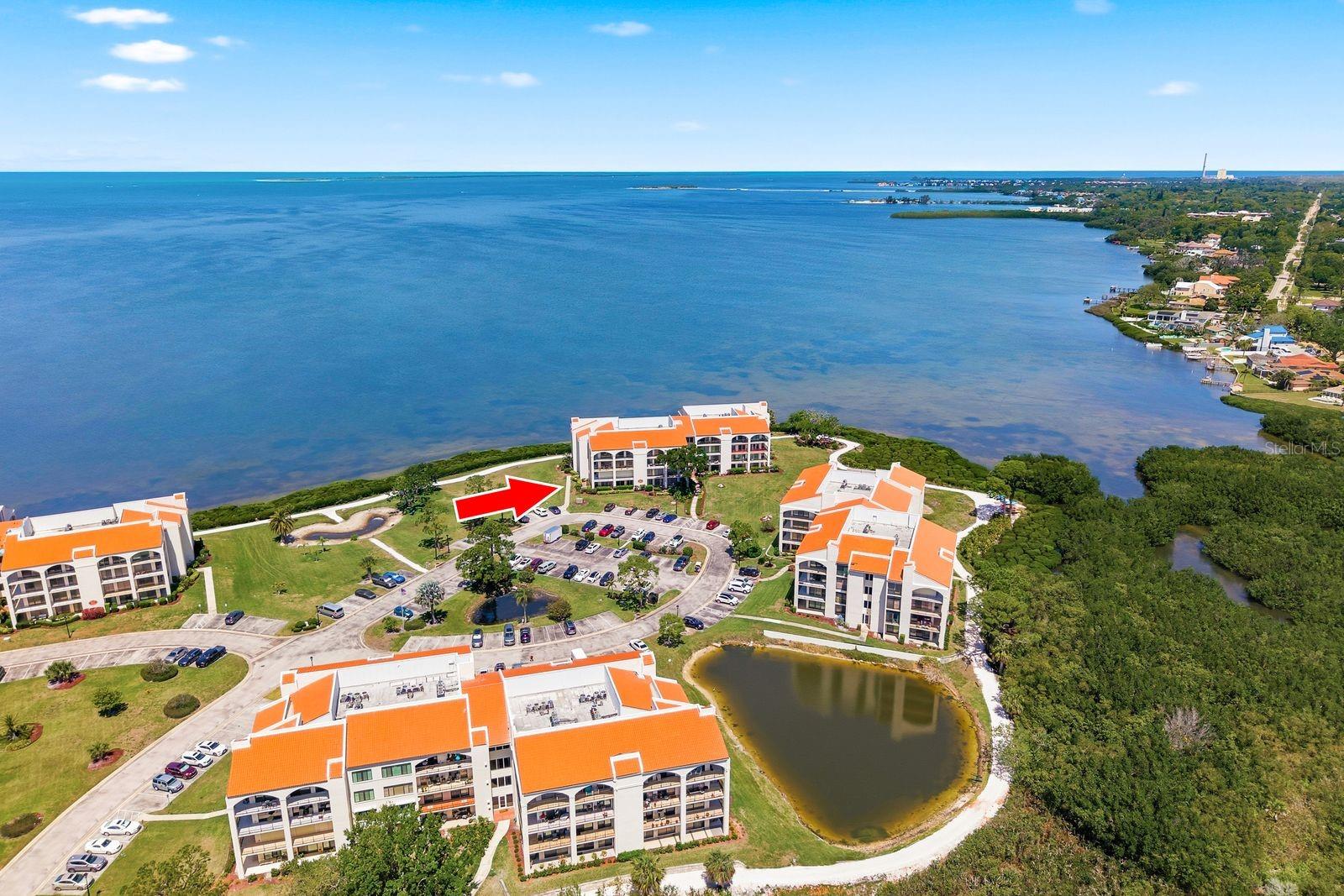 302 MARINER DR #302, TARPON SPRINGS, FL, 34689