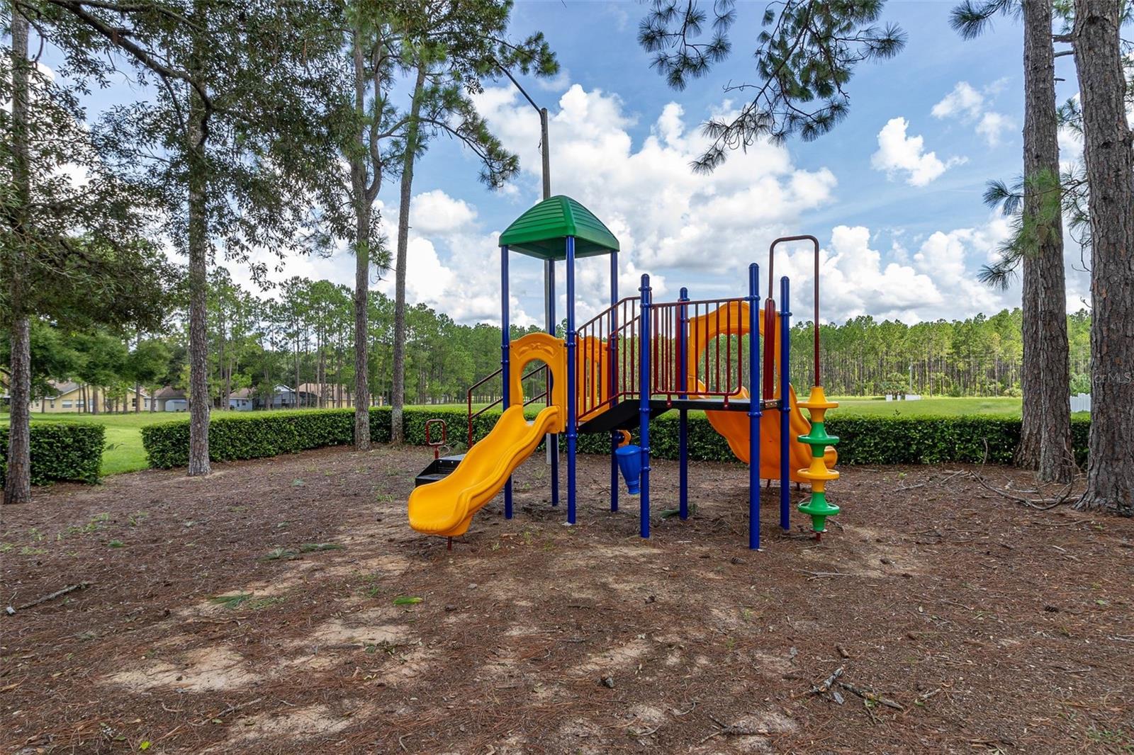207 ELBERTON DR, DAVENPORT, FL, 33897