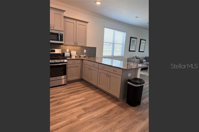 9819 SW 99TH LOOP, OCALA, FL, 34481