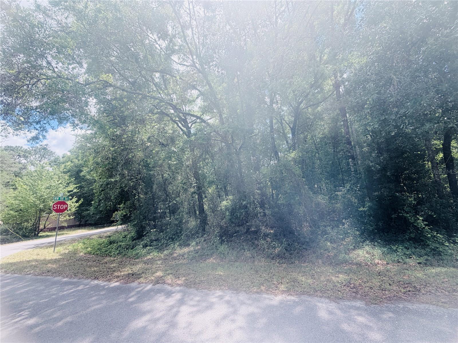 TBD NW 120TH ST, OCALA, FL, 34482