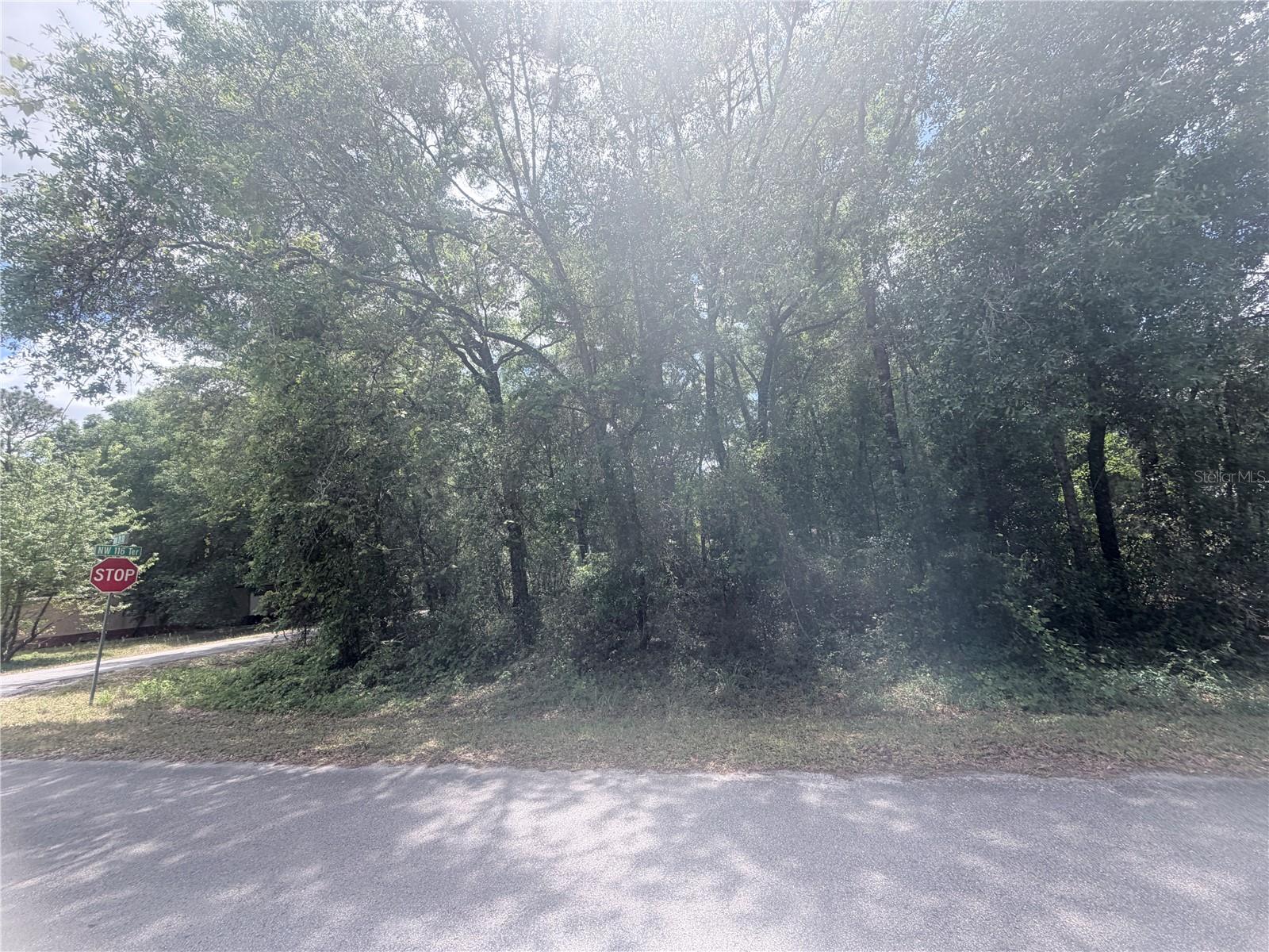 TBD NW 120TH ST, OCALA, FL, 34482