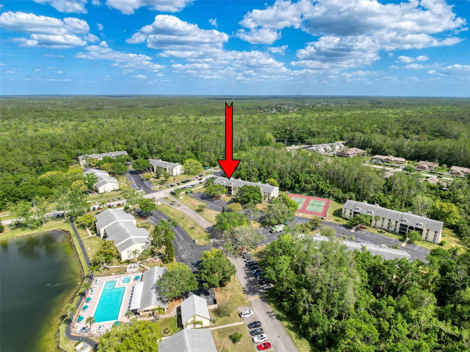 3188 LAKE PINE WAY S #B1, TARPON SPRINGS, FL, 34688