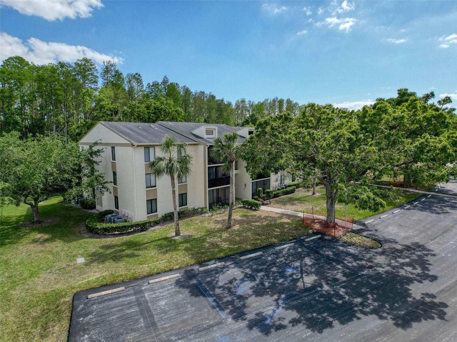 3188 LAKE PINE WAY S #B1, TARPON SPRINGS, FL, 34688