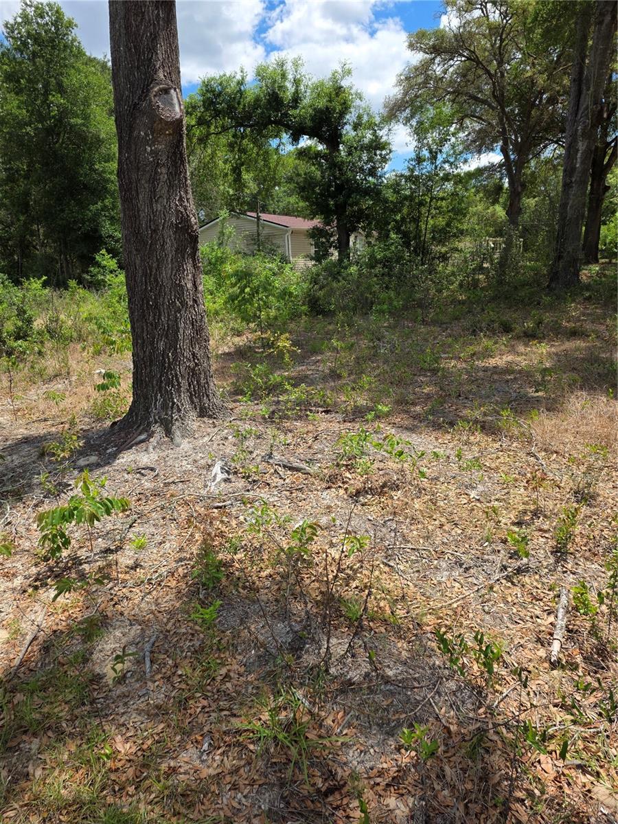 10679 SW 110TH CT, DUNNELLON, FL, 34432