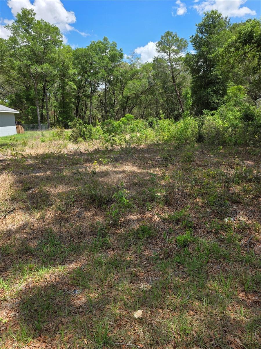 10679 SW 110TH CT, DUNNELLON, FL, 34432