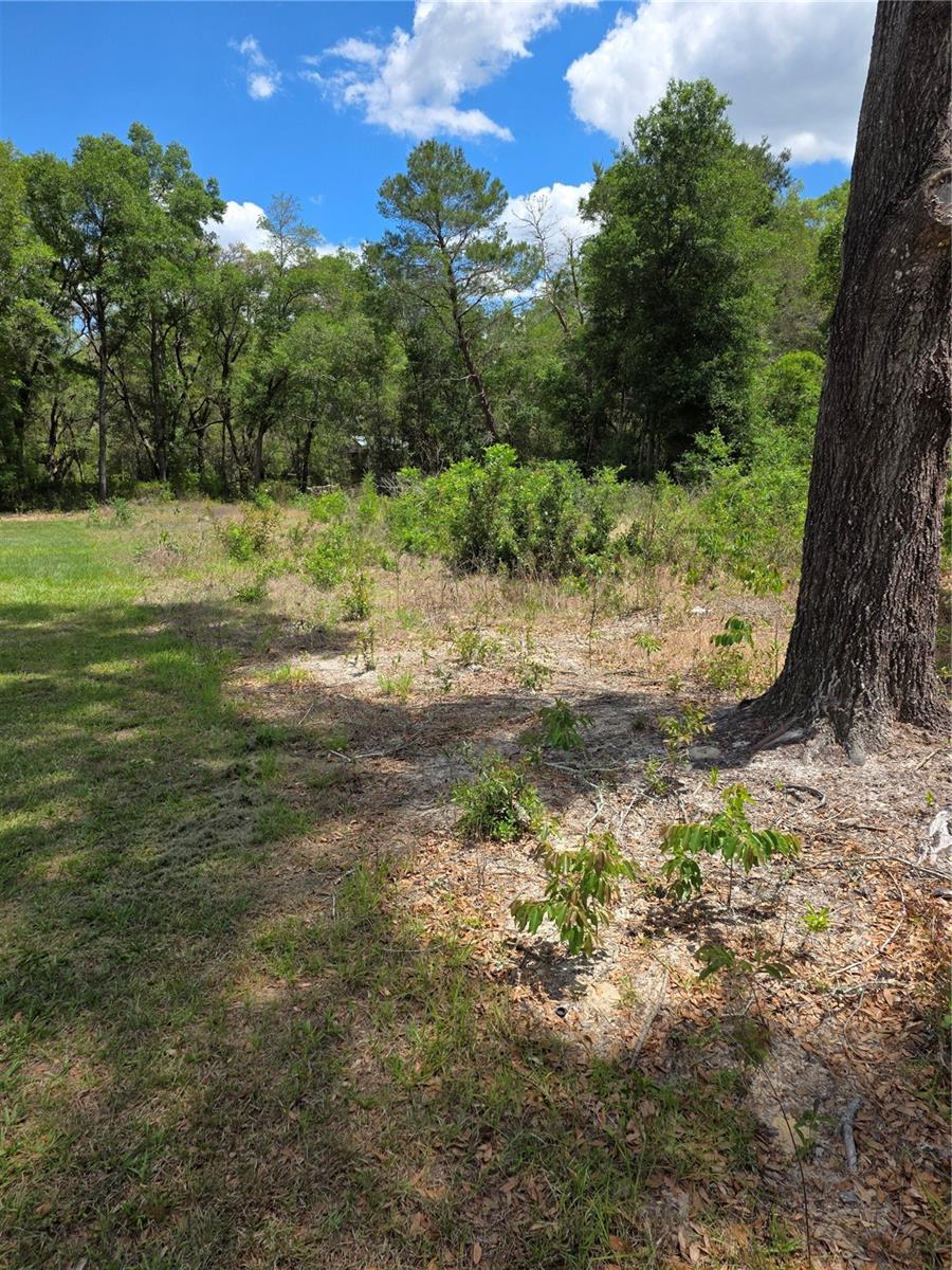 10679 SW 110TH CT, DUNNELLON, FL, 34432