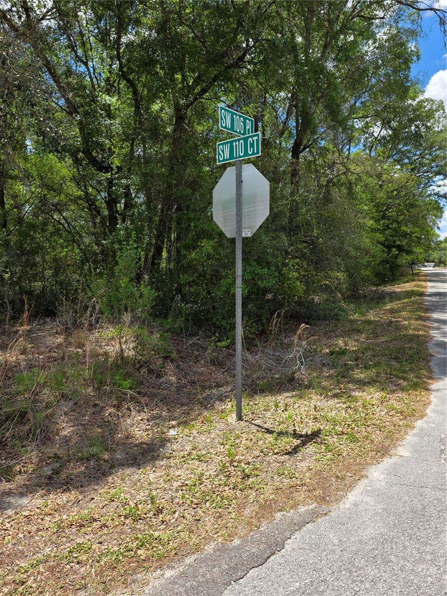 10679 SW 110TH CT, DUNNELLON, FL, 34432