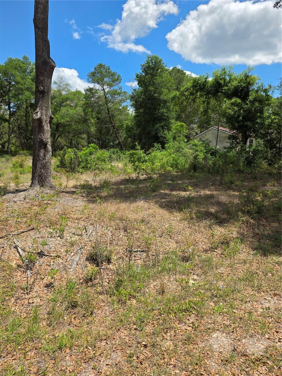 10679 SW 110TH CT, DUNNELLON, FL, 34432