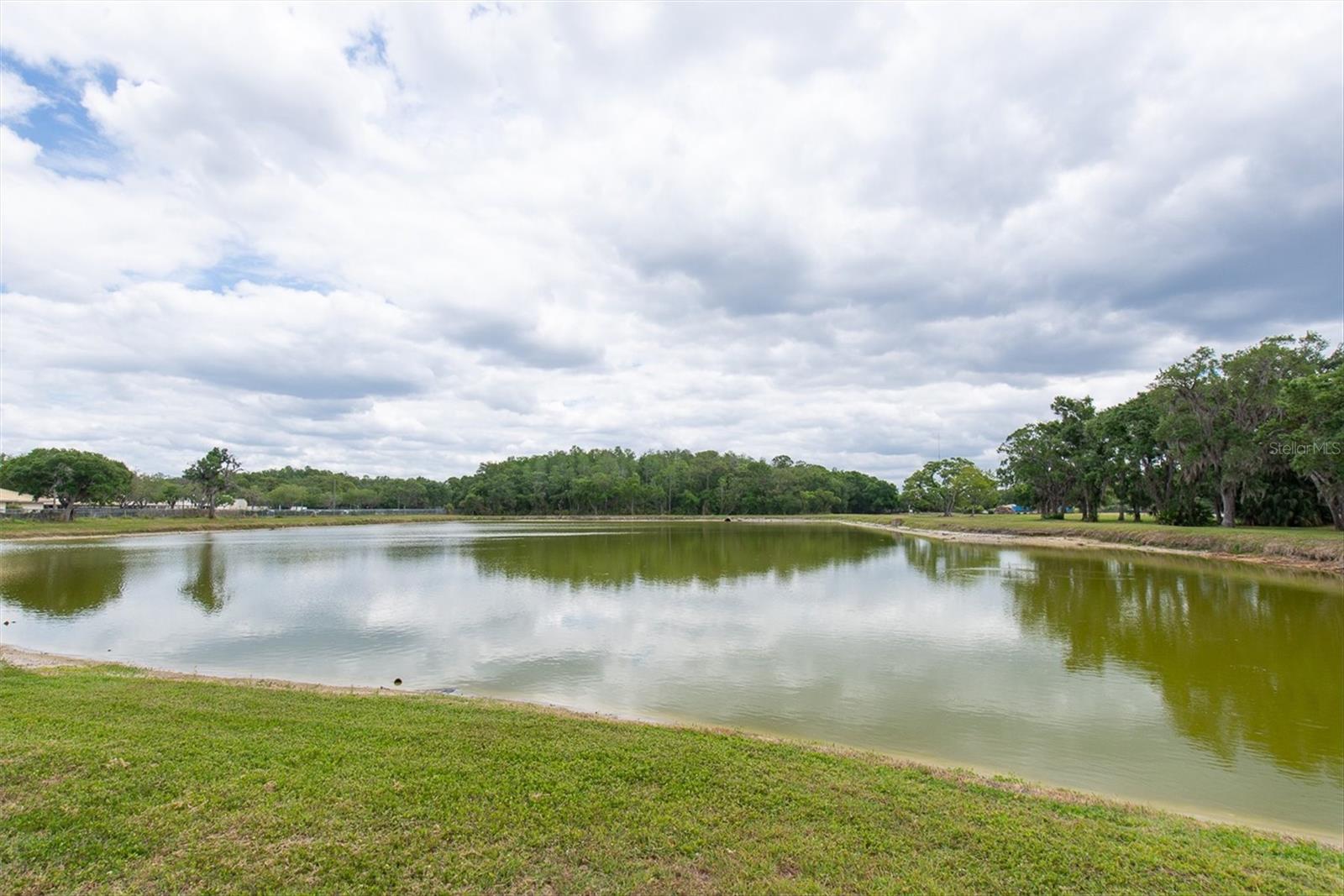 208 CUTLASS WAY, OLDSMAR, FL, 34677