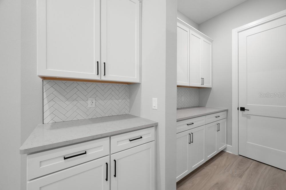 3836 SADDLE HILL TRL, FRUITLAND PARK, FL, 34731