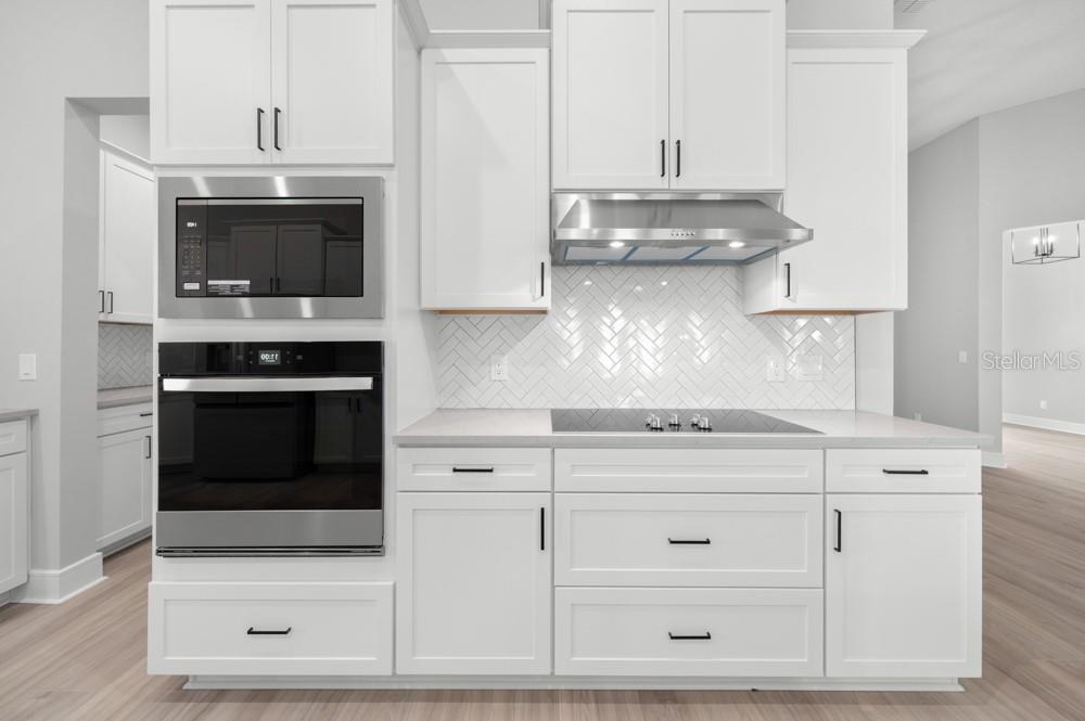 3836 SADDLE HILL TRL, FRUITLAND PARK, FL, 34731