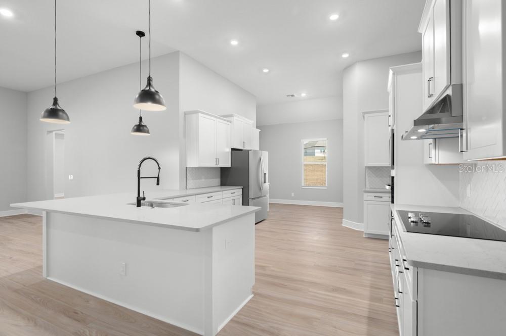 3836 SADDLE HILL TRL, FRUITLAND PARK, FL, 34731