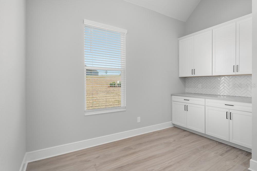 3836 SADDLE HILL TRL, FRUITLAND PARK, FL, 34731