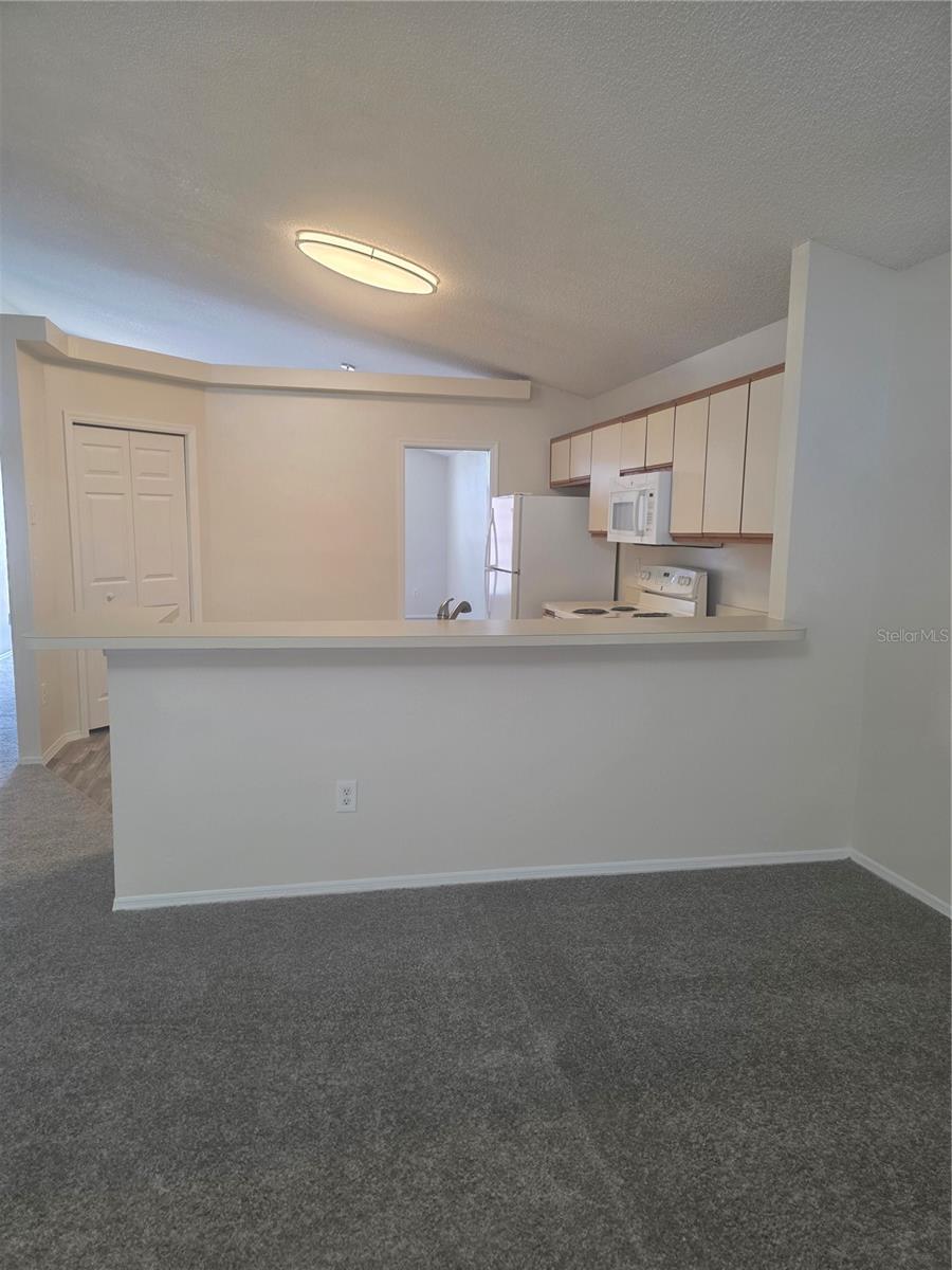 2309 ANHINGA DR, KISSIMMEE, FL, 34743