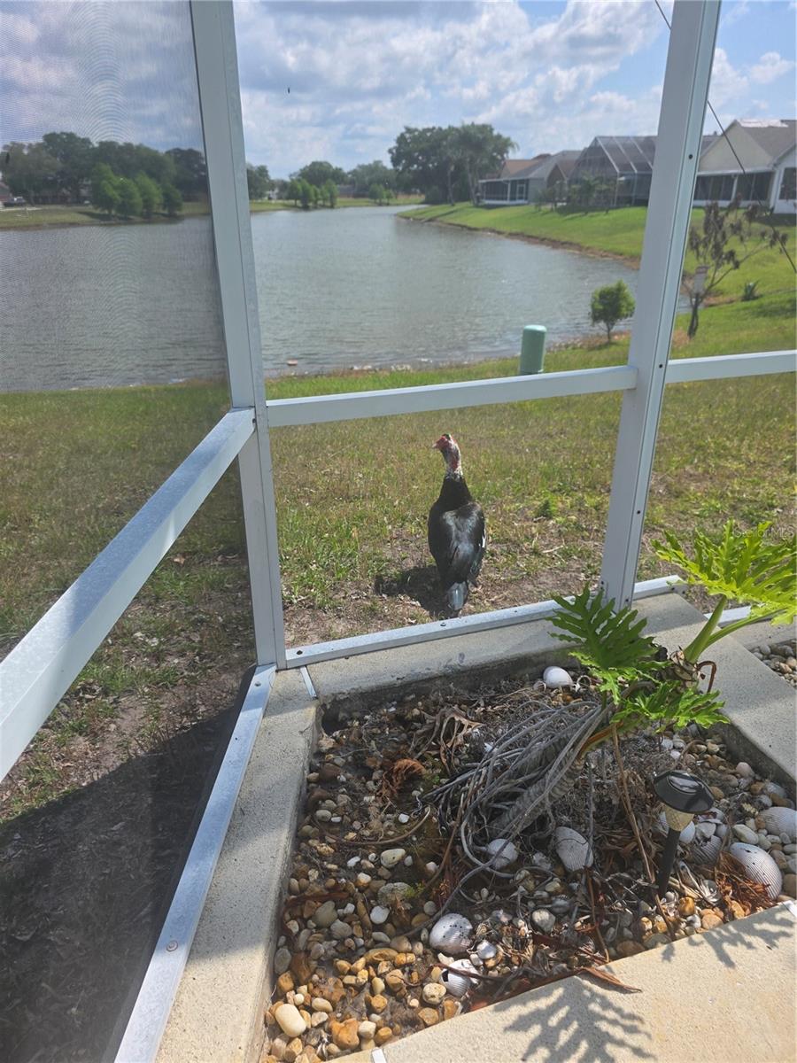 2309 ANHINGA DR, KISSIMMEE, FL, 34743