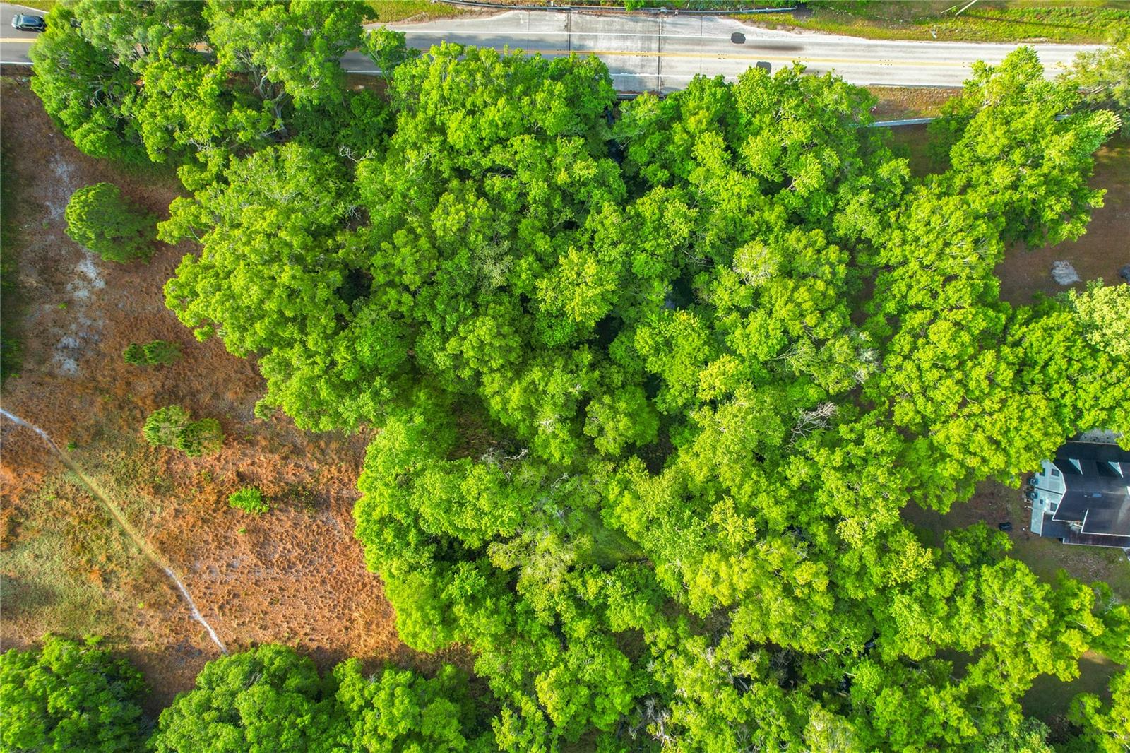 1215 DUFF RD, LAKELAND, FL, 33810