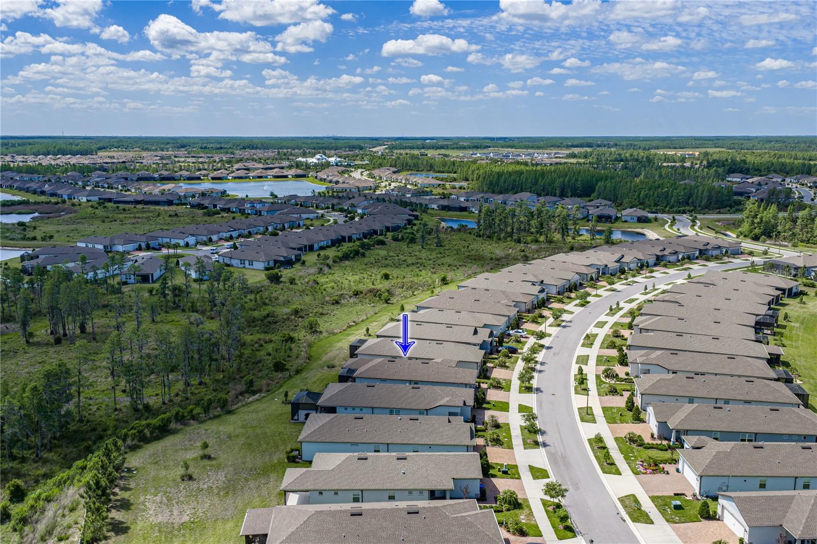 6041 SHOREBIRD BR, LAND O LAKES, FL, 34638