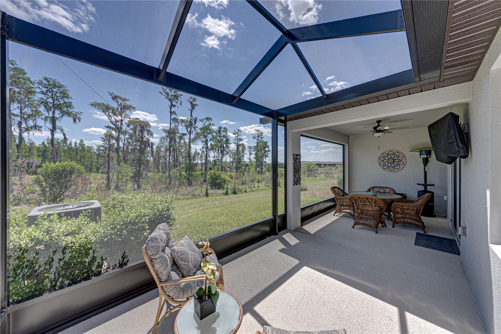 6041 SHOREBIRD BR, LAND O LAKES, FL, 34638