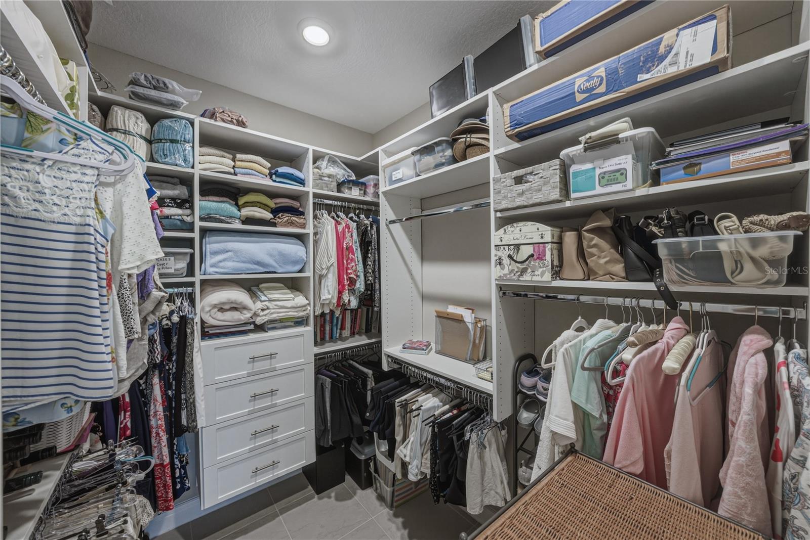 6041 SHOREBIRD BR, LAND O LAKES, FL, 34638
