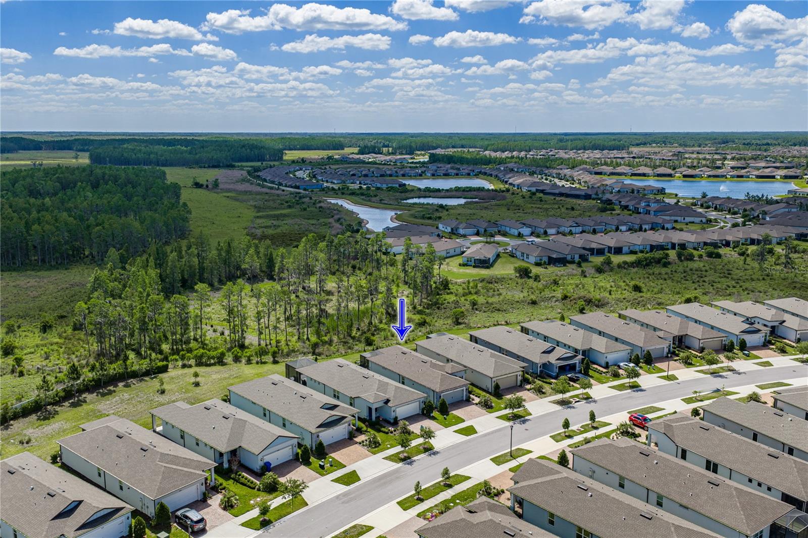 6041 SHOREBIRD BR, LAND O LAKES, FL, 34638