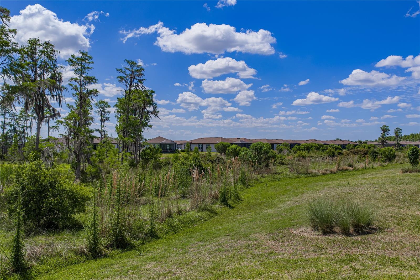 6041 SHOREBIRD BR, LAND O LAKES, FL, 34638