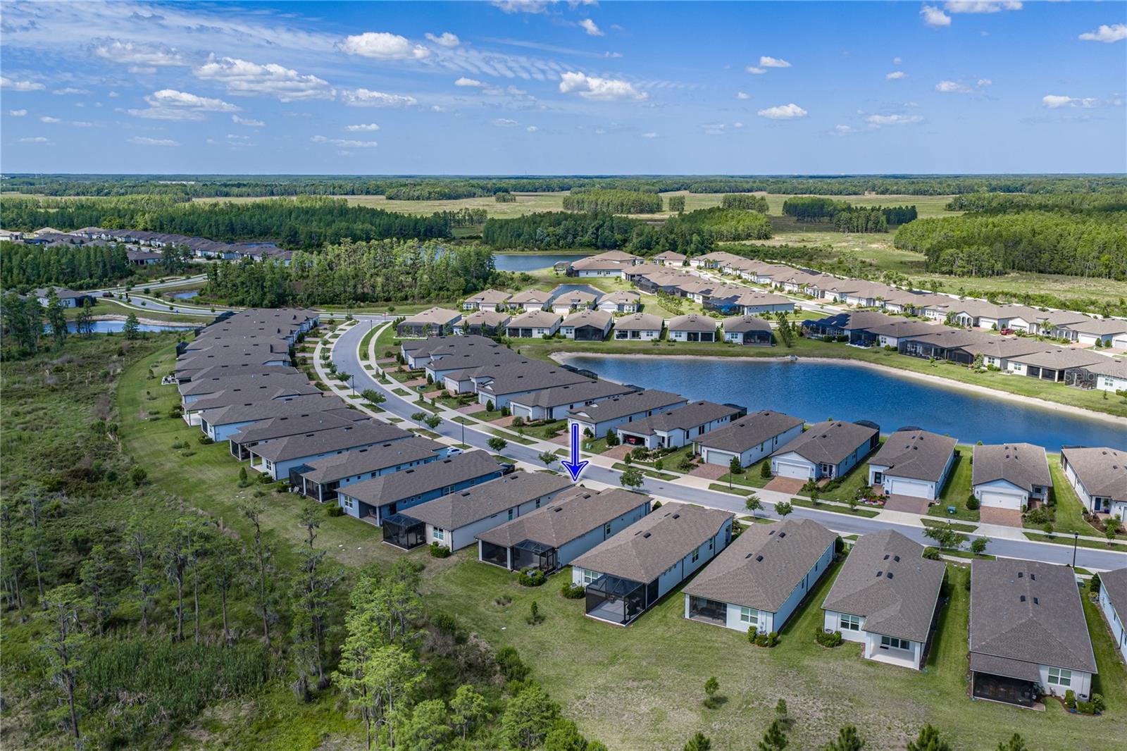 6041 SHOREBIRD BR, LAND O LAKES, FL, 34638