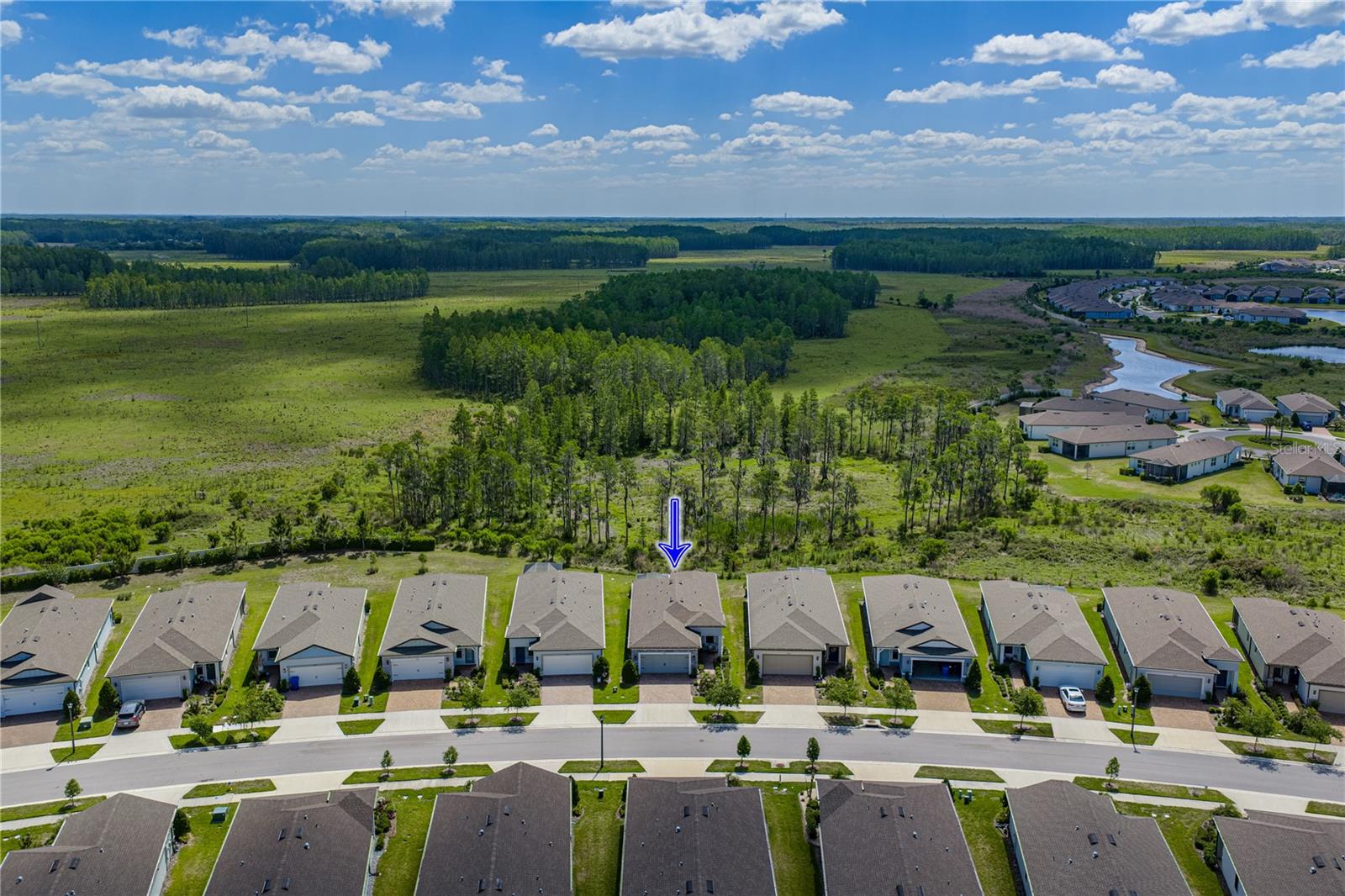 6041 SHOREBIRD BR, LAND O LAKES, FL, 34638