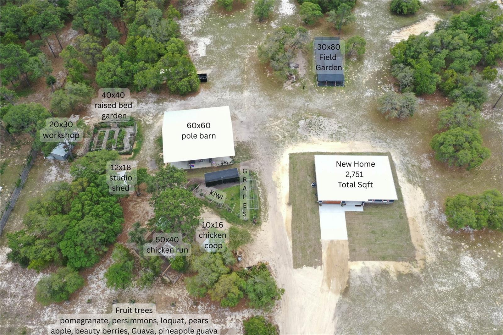 6254 W PEKING CT, DUNNELLON, FL, 34433