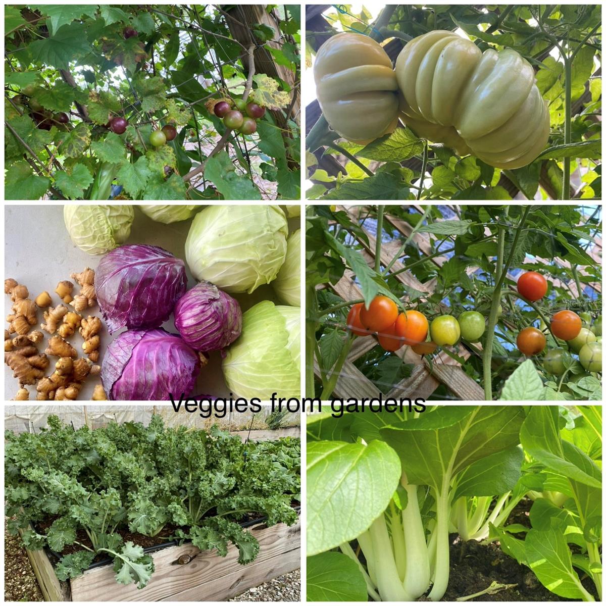 6254 W PEKING CT, DUNNELLON, FL, 34433