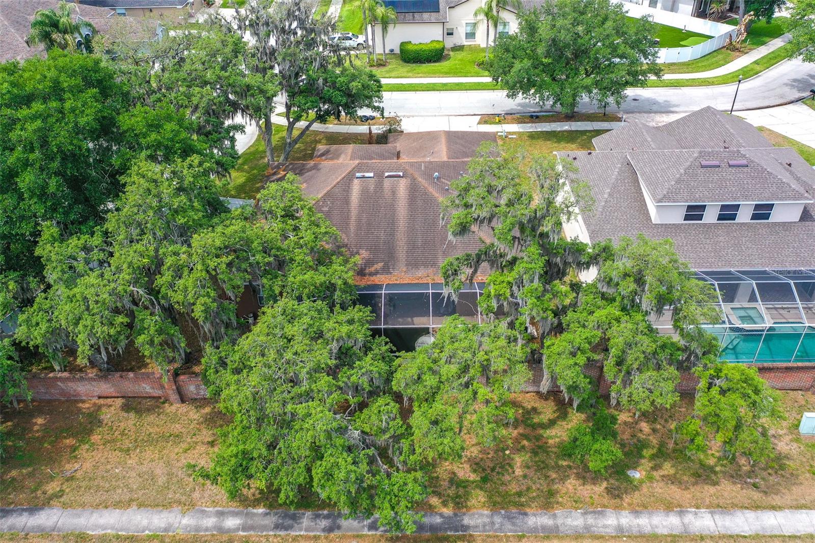 2539 CENTENNIAL FALCON DR, VALRICO, FL, 33596