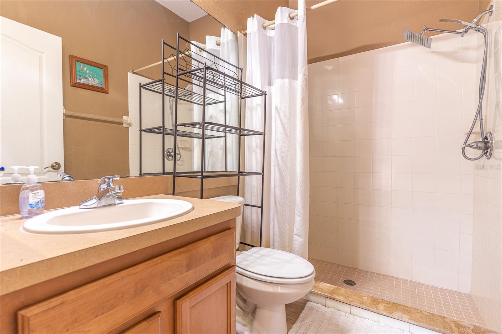 2539 CENTENNIAL FALCON DR, VALRICO, FL, 33596