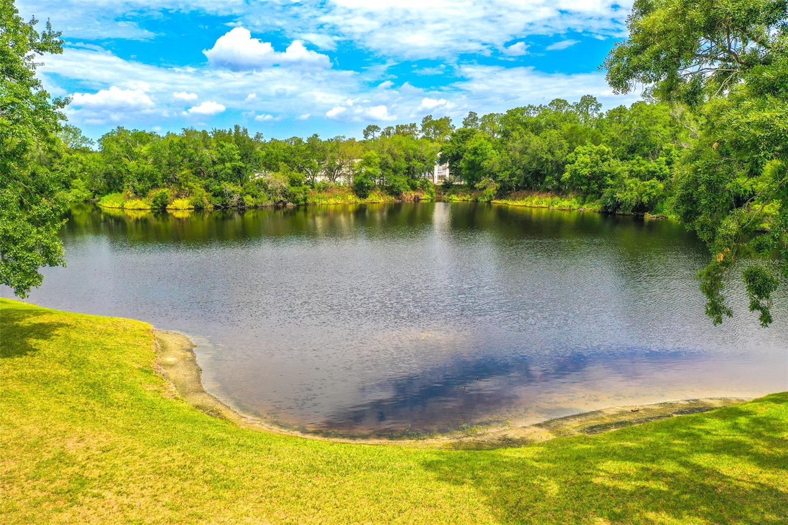 2539 CENTENNIAL FALCON DR, VALRICO, FL, 33596