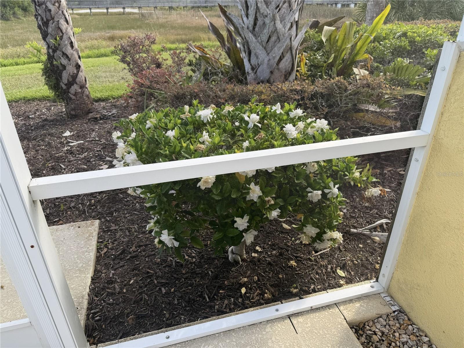 6214 ERICE ST, VENICE, FL, 34293