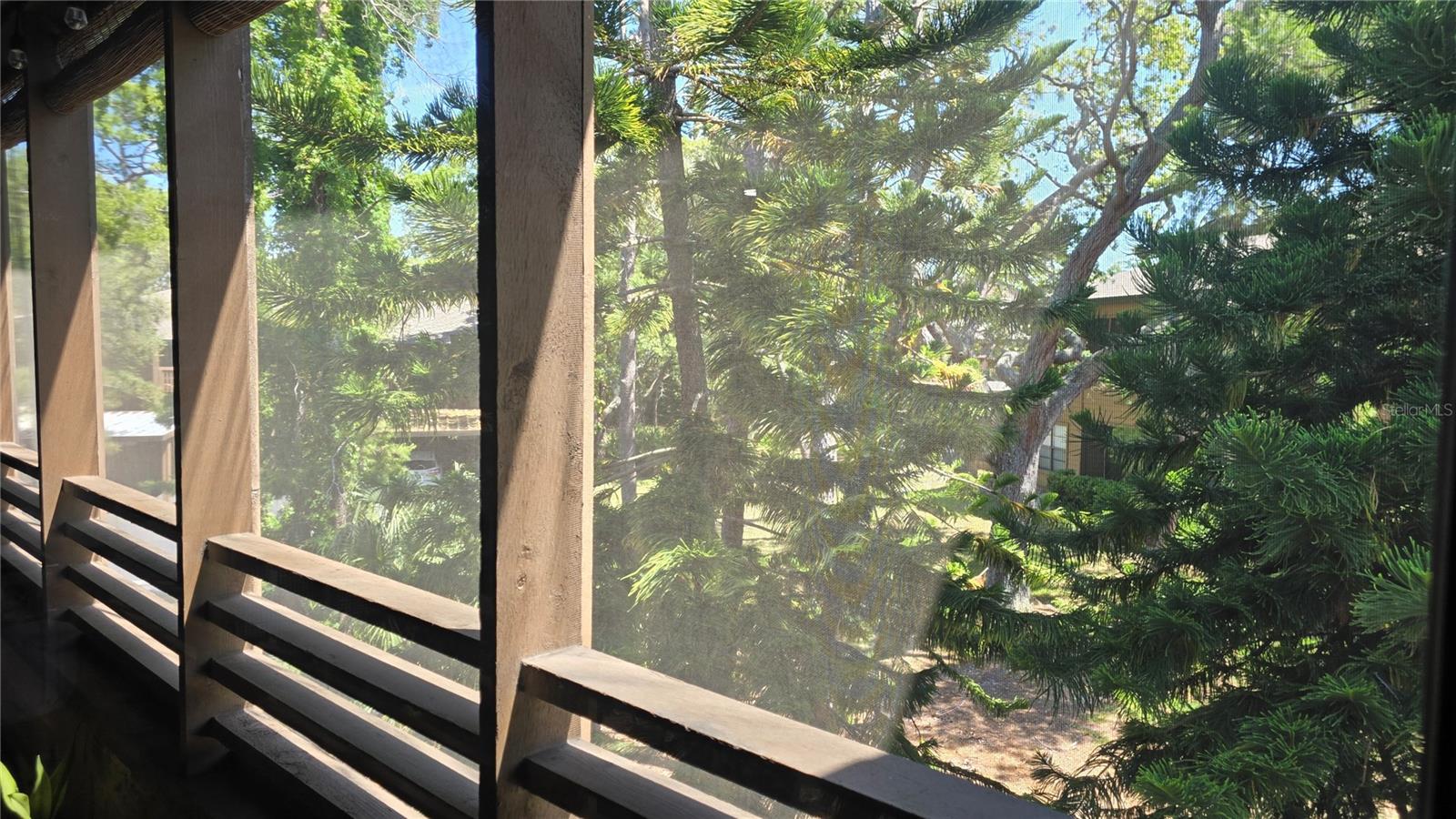 406 LENNOX RD W, PALM HARBOR, FL, 34683