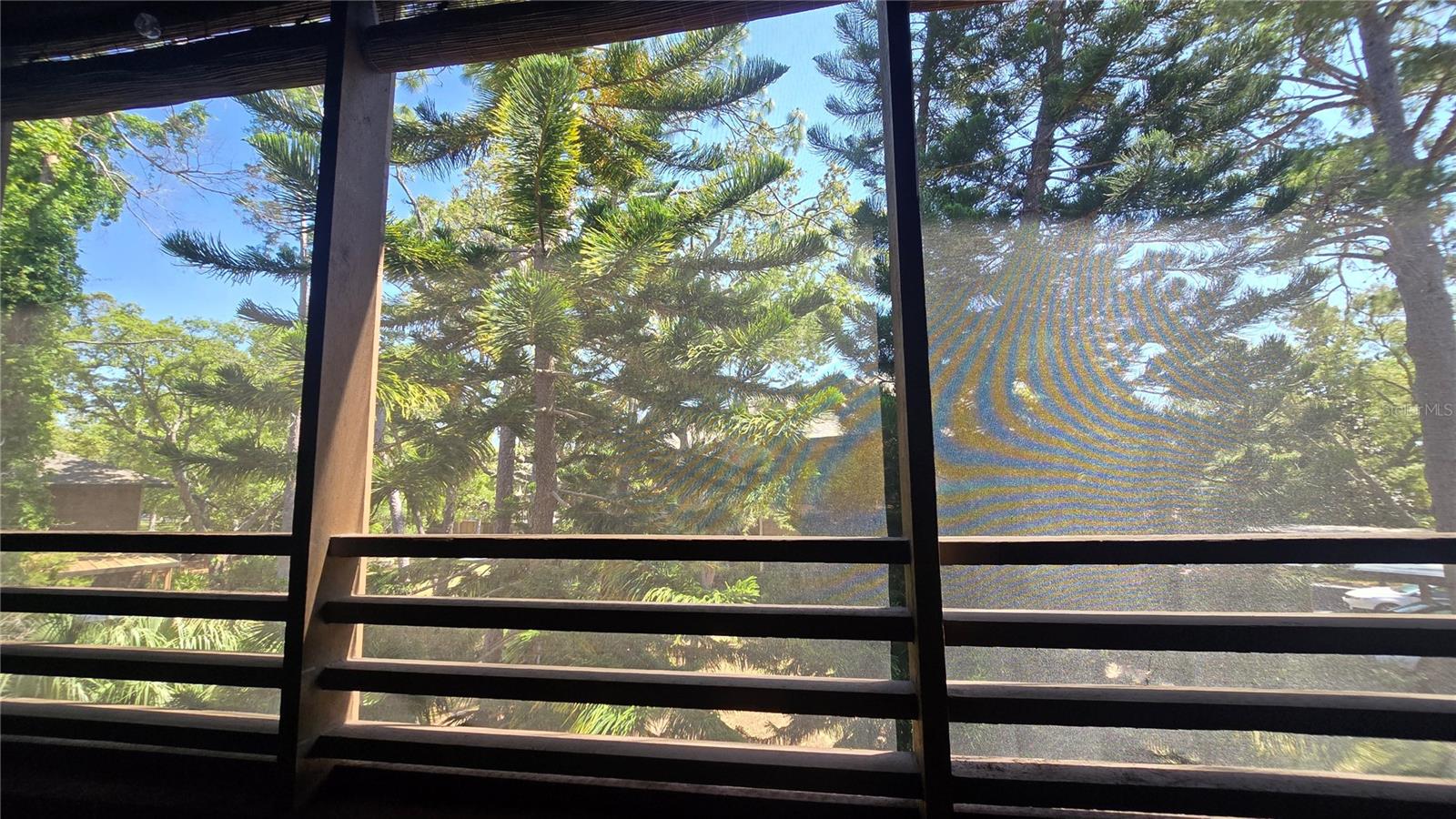 406 LENNOX RD W, PALM HARBOR, FL, 34683