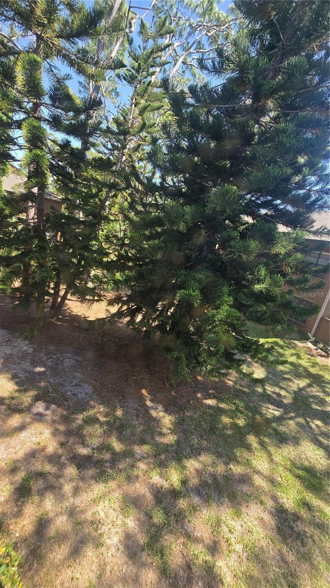 406 LENNOX RD W, PALM HARBOR, FL, 34683