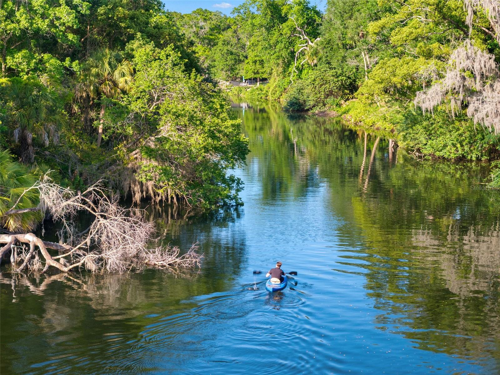 1502 E PARK CIR, TAMPA, FL, 33610