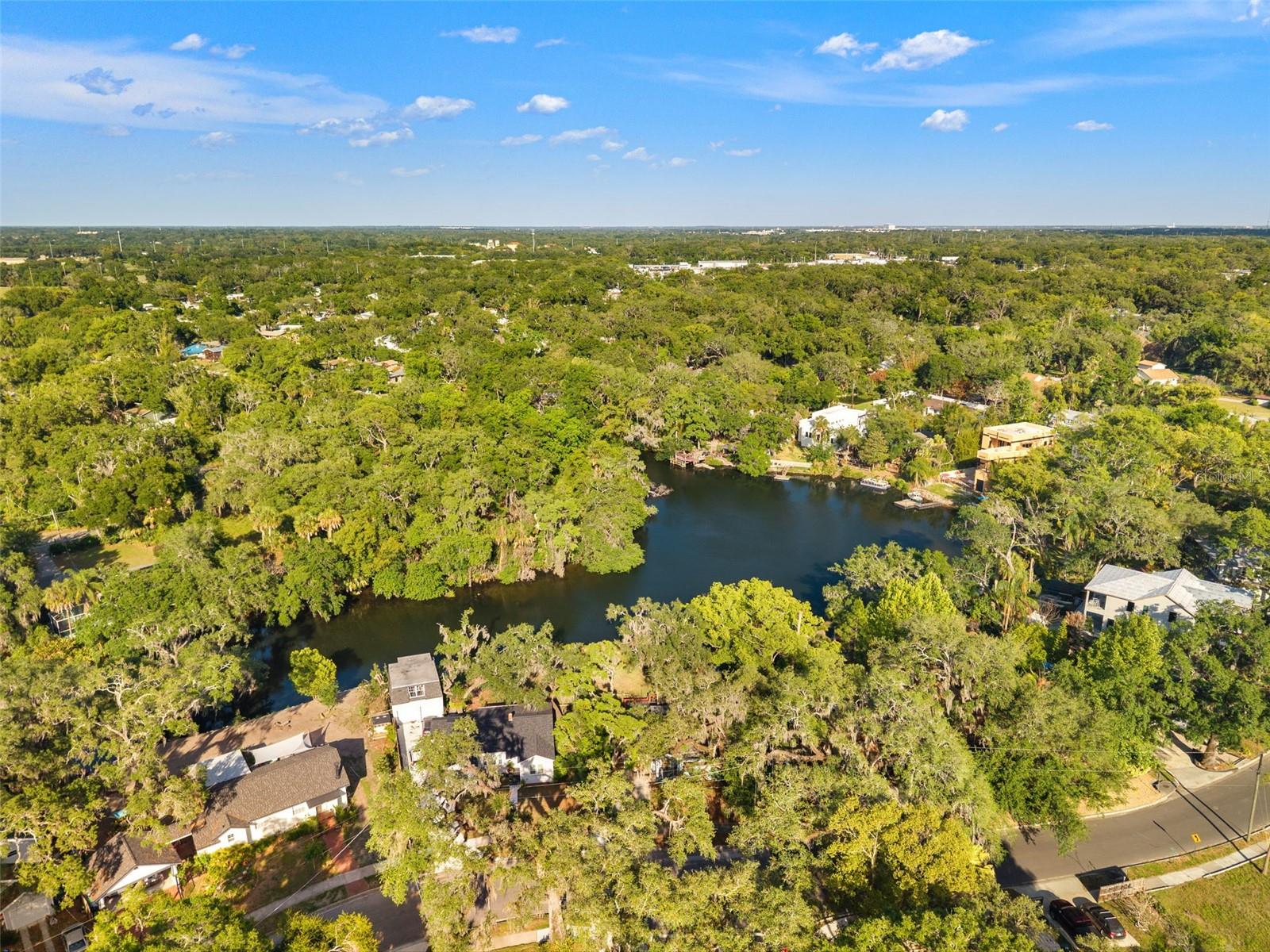 1502 E PARK CIR, TAMPA, FL, 33610